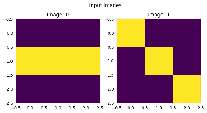 Input images